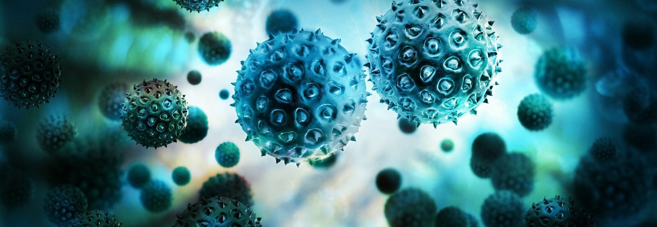 Changes in the conditions of yacht rental companies in connection with the onset of the coronavirus