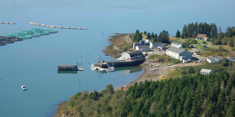 Otter Cove Wharf