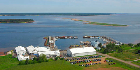 Beach Point Harbour