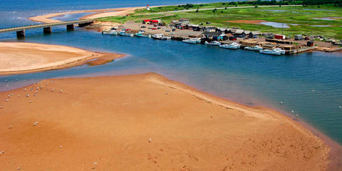 Covehead Harbour