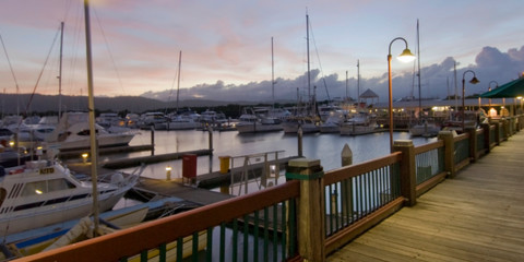 The Reef Marina