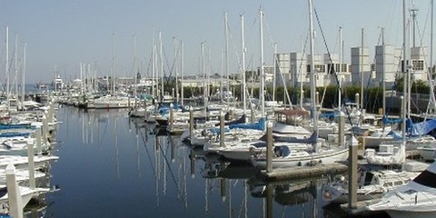 Harborage Marina At Bayboro