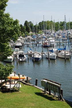 Calvert Marina