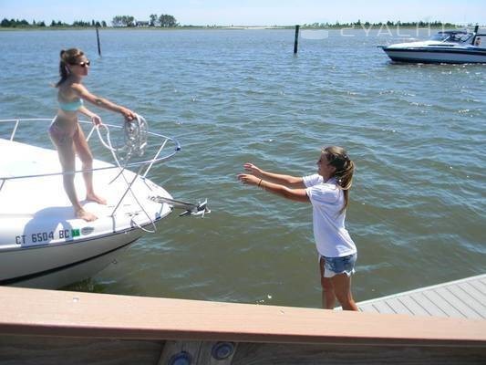 Cedar Island Marina