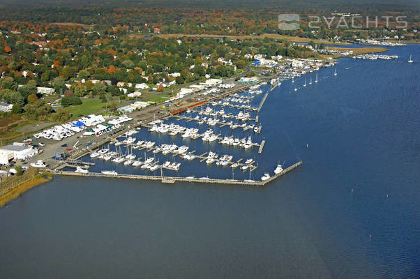 Cedar Island Marina