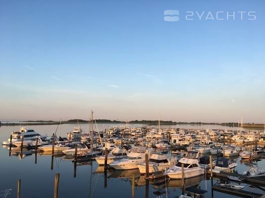 Cedar Island Marina