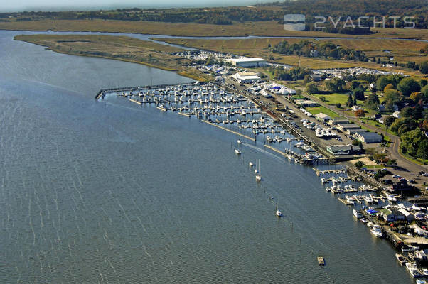 Cedar Island Marina