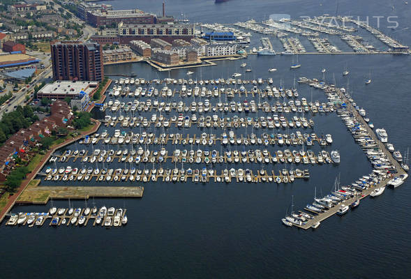 Anchorage Marina