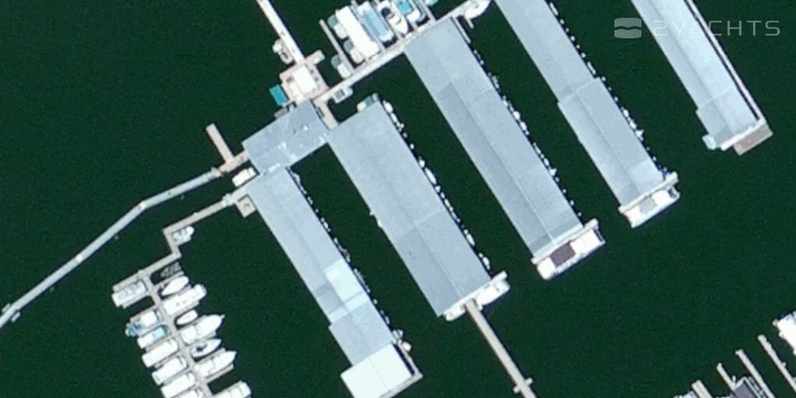 Navajo Lake Marina