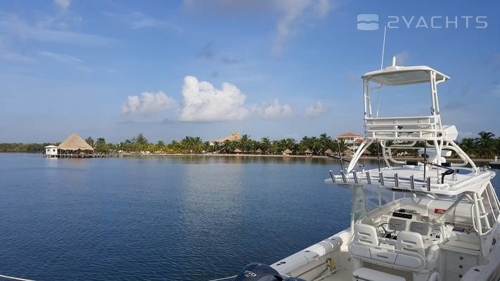 The Placencia Marina