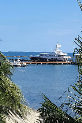 The Placencia Marina