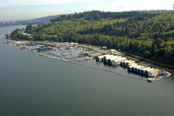 Reed Point Marina