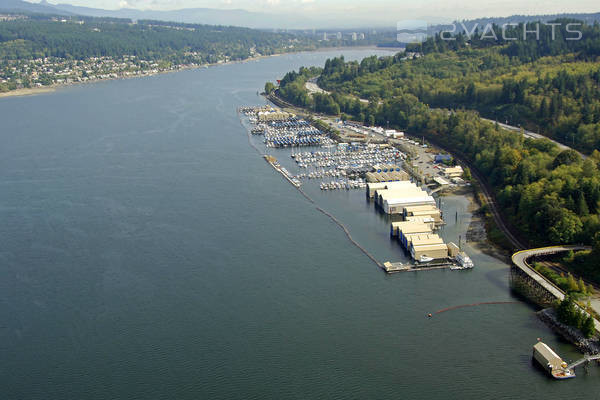 Reed Point Marina