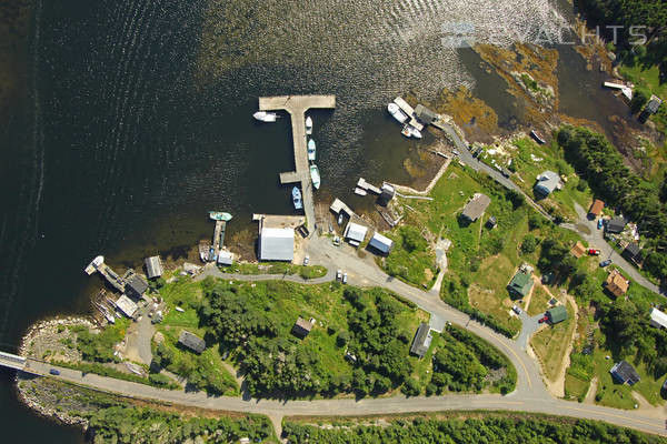 Bush Island Harbour