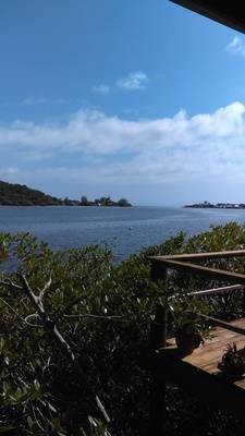 Turtle Grass Marina