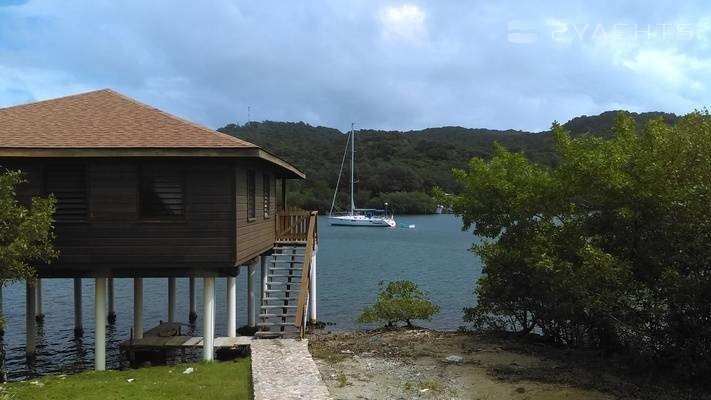 Turtle Grass Marina