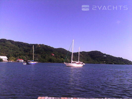Turtle Grass Marina