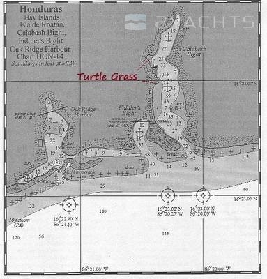 Turtle Grass Marina