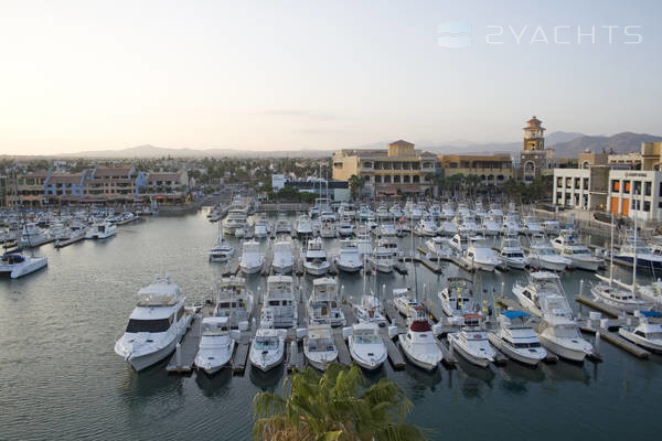 Marina Cabo San Lucas