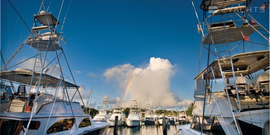 American Yacht Harbor