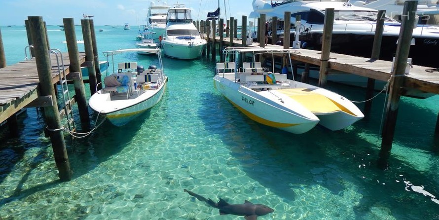 Staniel Cay Yacht Club