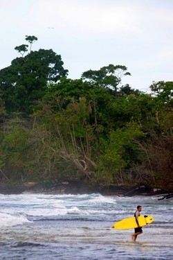 Red Frog Beach Marina