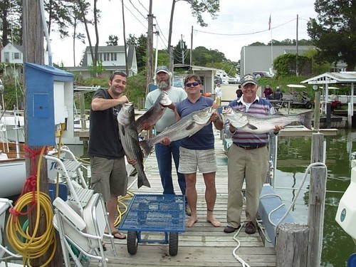 Smith Point Marina