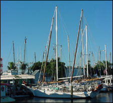 Safe Harbour Marina