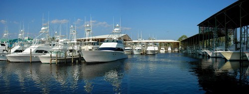 Orange Beach Marina