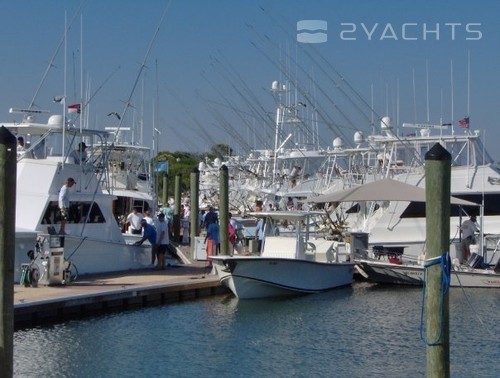 Morehead City Yacht Basin