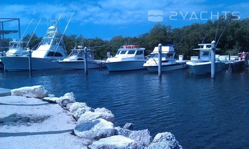 Bud N’ Mary’s Fishing Marina