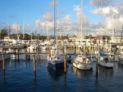 Key West Bight Marina