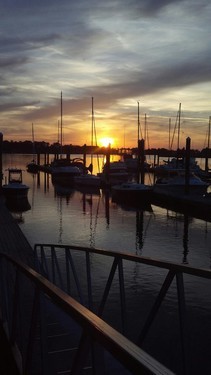 Fort McAllister Marina