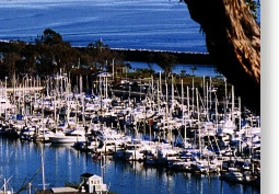 Dana Point Marina