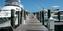 Cat Cay Yacht Club