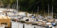 Breakwater Marina