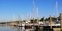 Safe Harbor | Bruce & Johnson's Marina