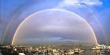 Cedar Island Marina