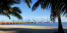 The Placencia Marina