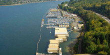 Reed Point Marina