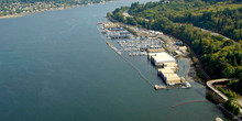 Reed Point Marina