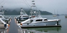 Fish Hook Marina & Lodge