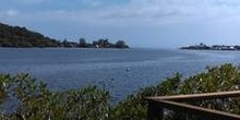 Turtle Grass Marina