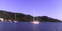 Turtle Grass Marina