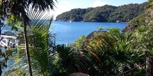Turtle Grass Marina