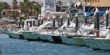 Marina Cabo San Lucas