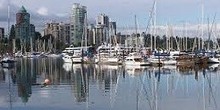 Coal Harbour Marina