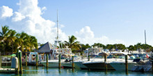 Conch Harbor Marina