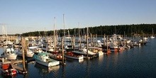 Dysart's Great Harbor Marina