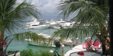 Harbour Island Club & Marina